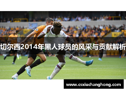 切尔西2014年黑人球员的风采与贡献解析