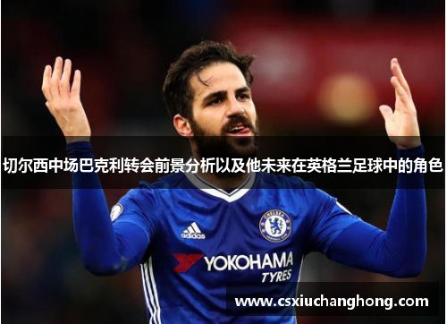 切尔西中场巴克利转会前景分析以及他未来在英格兰足球中的角色