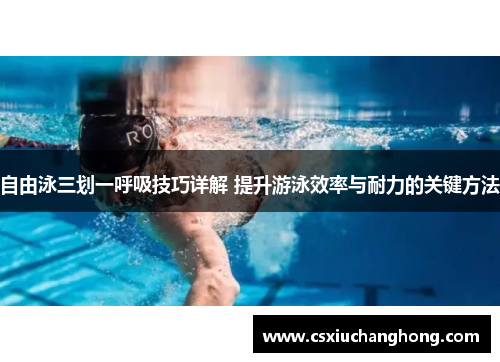 自由泳三划一呼吸技巧详解 提升游泳效率与耐力的关键方法