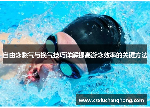 自由泳憋气与换气技巧详解提高游泳效率的关键方法
