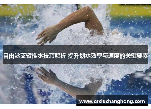 自由泳支臂推水技巧解析 提升划水效率与速度的关键要素