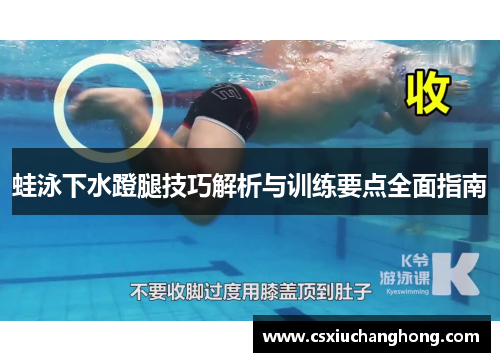 蛙泳下水蹬腿技巧解析与训练要点全面指南