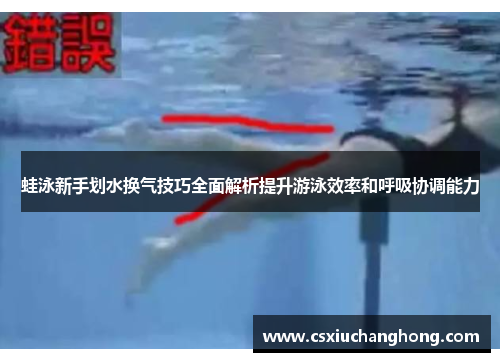 蛙泳新手划水换气技巧全面解析提升游泳效率和呼吸协调能力